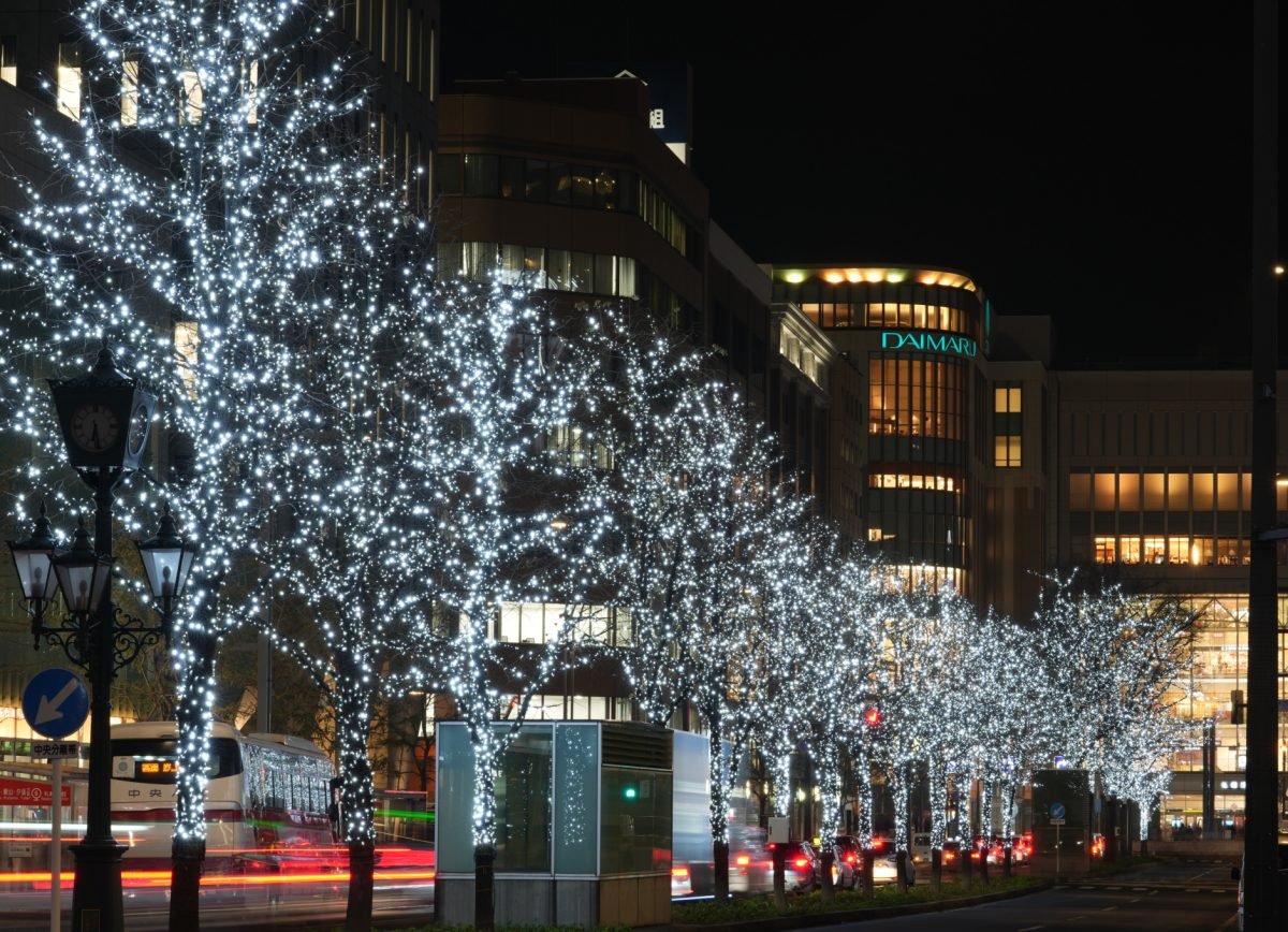 🌳 오도리 공원 이미지 14